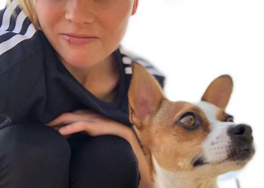 La vida con una estrella de la TV: Ratoni, una perra discapacitada, una perra normal que es un imán de amores y felicidades