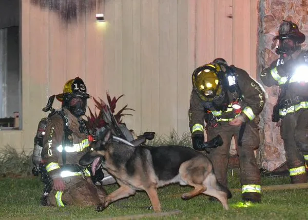 Un perro policía retirado ayuda a rescatar a los niños de la casa durante un bestial incendio