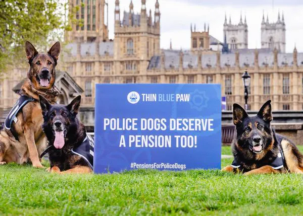 Lanzan una campaña en el Reino Unido para que los perros policía jubilados reciban una pensión #PensionsForPoliceDogs