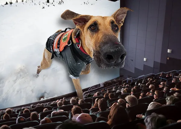 Superpower Dogs: celebrando a los perros que salvan vidas, a los perros de búsqueda y rescate, en 3D 