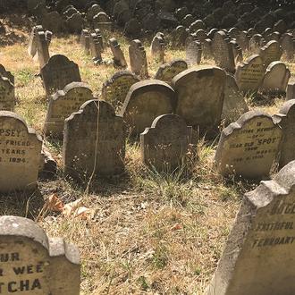 Los perros que van al cielo: un estudio de los …