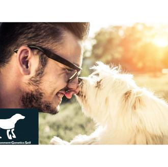 El problema de tratar a un perro como una mascota …