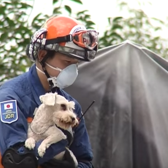Perros de rescate y perros rescatados tras el terremoto de …