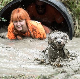 Perros (y humanos) hasta las orejas de barro por una …