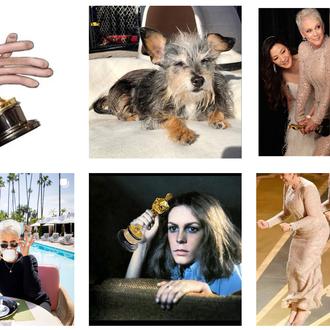 Otra razón más para adorar a Jamie Lee Curtis, flamante …