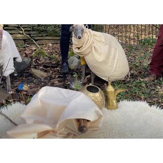 La Natividad Canina o el Belén más perruno: una genial …
