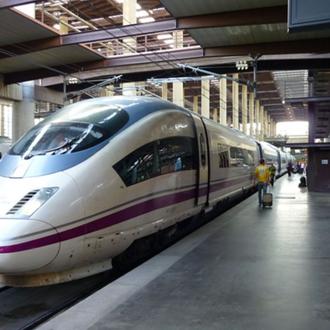 Una prueba piloto de RENFE ¡permitirá viajar con perros de …