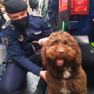 La Unidad Canina de la Policía de Granada: 
