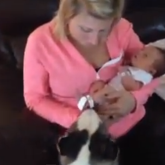 Los nervios felices de una Husky al conocer al bebé …