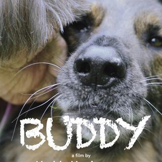 Buddy, un documental sobre los perros de asistencia y la …