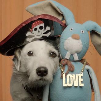 El trabajo de una entrenadora canina para cine y televisión …
