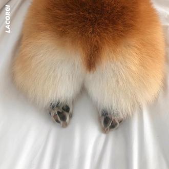 En casa, en la piscina... los posados más irresistibles de …