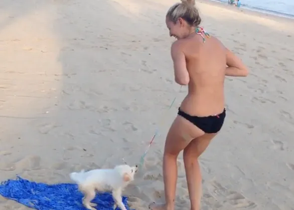 Aventuras en la playa... un cachorro obsesionado por el bikini de su humana