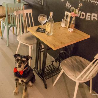 Afterwork para humanos perrunos en Barcelona con Seagram