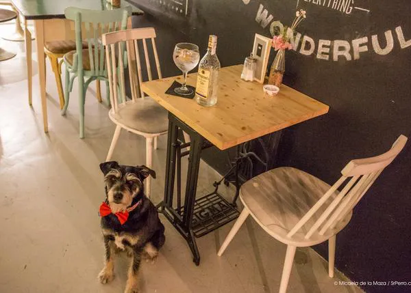 Afterwork para humanos perrunos en Barcelona con Seagram
