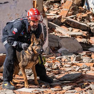 Los perros de rescate salvan vidas y sus guías cuidan …
