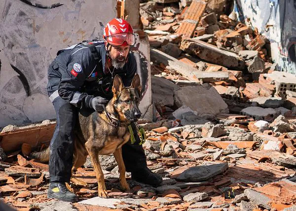 Los perros de rescate salvan vidas y sus guías cuidan de ellos para garantizar su bienestar: por eso Togo vuelve a casa