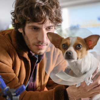 Perruedines, el perro que en realidad es perra y que …