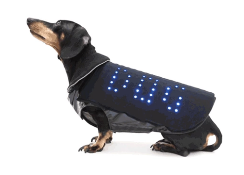 Disco Dog, un crowdfunding perruno con tela de gracia... y ritmo, y luces de colores :-)