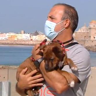 La increíble historia de Res (Rescatado), el cachorrote que llegó …