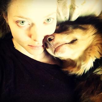 Amanda Seyfried y el guapérrimo Finn: amores perrunos contagiosos