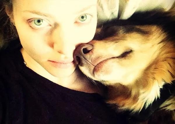 Amanda Seyfried y el guapérrimo Finn: amores perrunos contagiosos