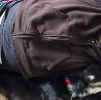 Las mejores siestas ¿las siestas compartidas con tu can? 