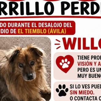 La protectora Villa Pepa pide productos de limpieza y comida …