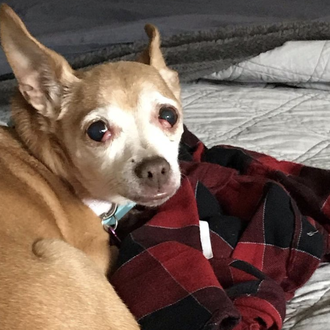 Los pequeños grandes milagros que suceden en las casas de …