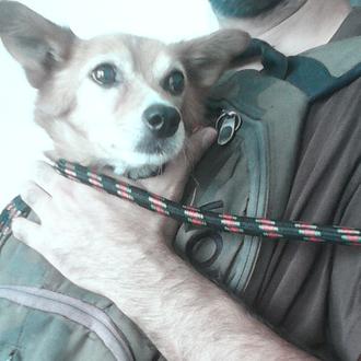 Desventuras de un SrPerro en Metro de Madrid: Pitu (menos …