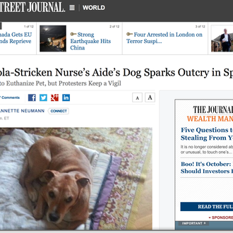 La lucha para salvar a Excalibur no cesa y resuena …