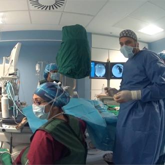 Veterinarios especialistas que comparten sus conocimientos de forma altruista, sí …