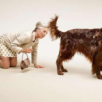 Date a dog, una original campaña para fomentar las adopciones