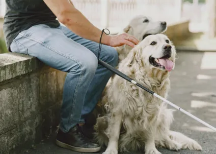 El Gobierno garantiza el bienestar y derechos de los perros de asistencia, que pueden acceder a espacios de uso público en toda España