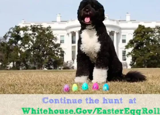 Pascua con Bo en La Casa Blanca