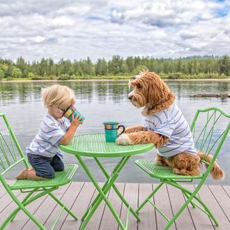 Un churumbel en acogida y un perro adoptado: una preciosa …