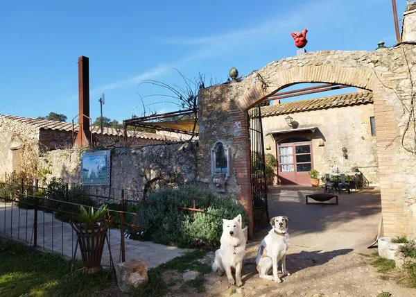 Sant Joan sin petardos: Alojamientos con encanto para escapar con los perros lejos del ruido