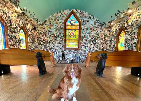 La Capilla Canina y la Montaña de los Perros: un lugar único en el que celebrar nuestra amistad