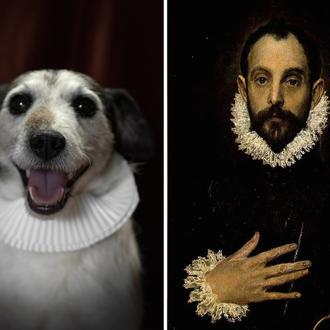Los perros poéticos: canes de protectora reconvertidos en escritores