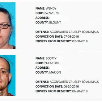 Los registros de maltratadores de animales, una realidad en EEUU 