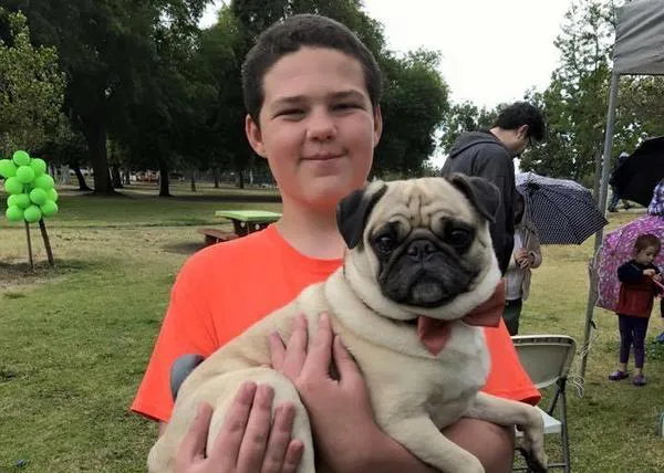 La sorpresa de los carlinos: un cumpleaños perrunamente feliz para un niño con autismo 