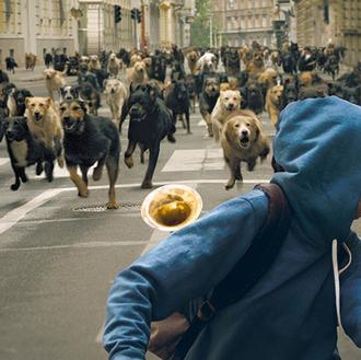 White God, la peli perruna que triunfó en Cannes: cuenta …