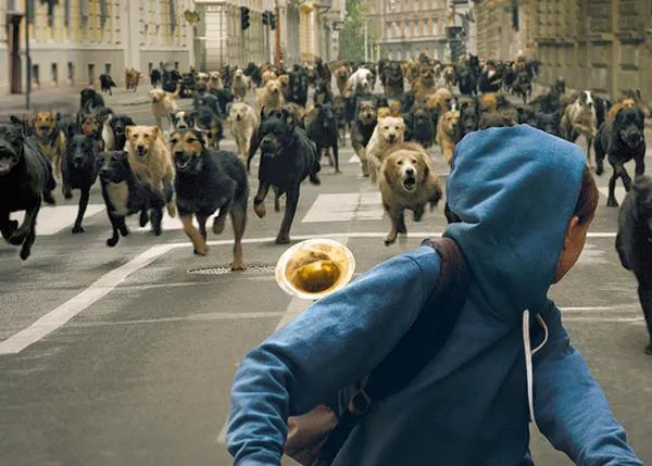White God, la peli perruna que triunfó en Cannes: cuenta atrás para el estreno