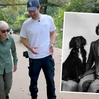 Hablando de perros, chimpancés y hasta pulpos con Jane Goodall …