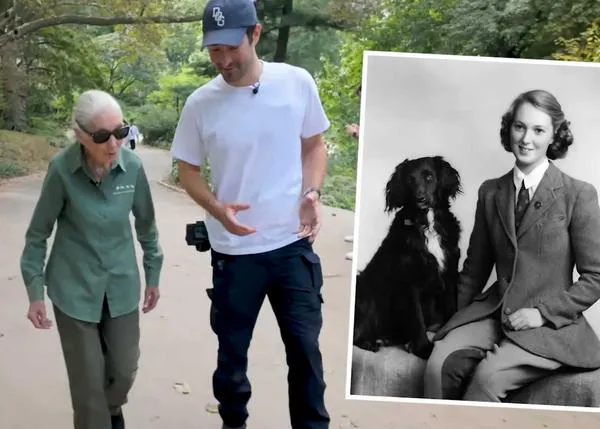 Hablando de perros, chimpancés y hasta pulpos con Jane Goodall: un paseo junto a The Dogist