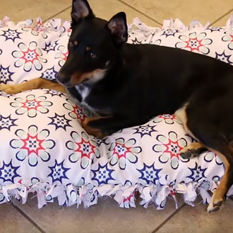 Cómo hacerle una cama a tu perro ¡sin tener que …