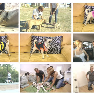 Más de 8000 personas y 200 entidades piden a Mediaset …