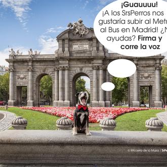 ¿Quieres que los perros puedan viajar en Metro y EMT …