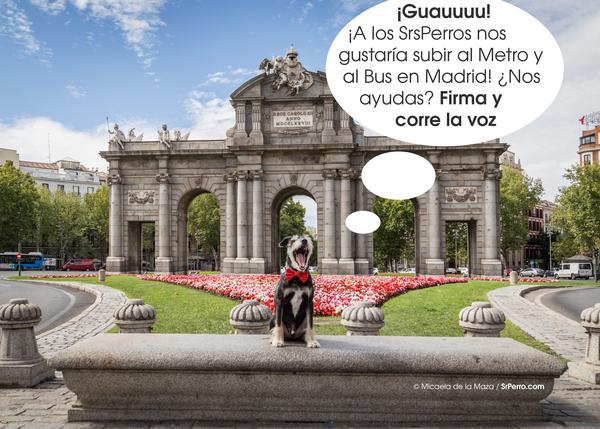 ¿Quieres que los perros puedan viajar en Metro y EMT en Madrid? ¡Ayúdanos a conseguirlo!