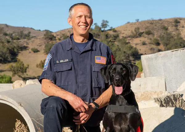 Perros abandonados por tener un exceso de energía están ahora colaborando en las labores de búsqueda en Los Ángeles